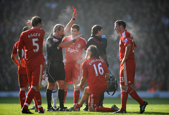 逐步成为更 逐步成为更